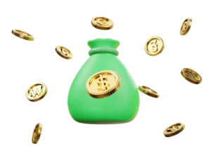 coin_money_bag-min-scaled-1-e1708811819955.webp